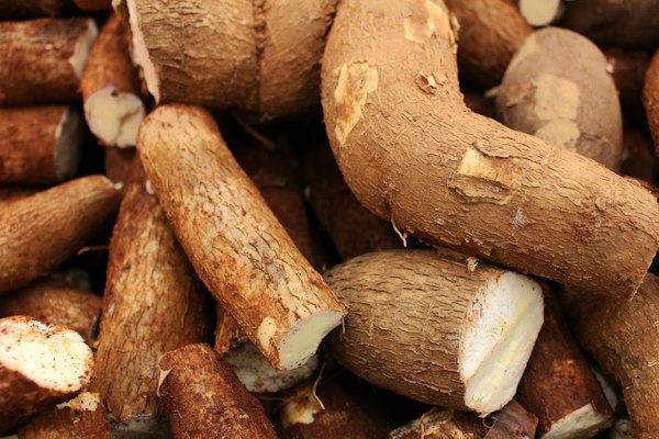 Produits Vivriers Frais